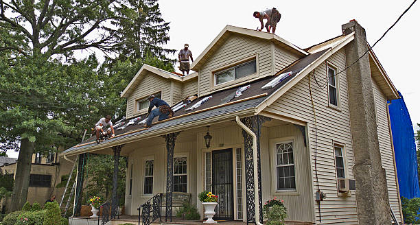 Best Storm Damage Roof Repair  in Oakland, NE