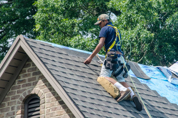 Best Roofing Contractor Near Me  in Oakland, NE